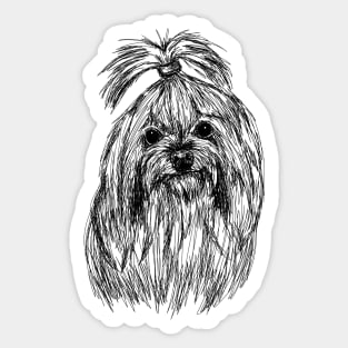 Maltese dog draw with scribble art style Sticker